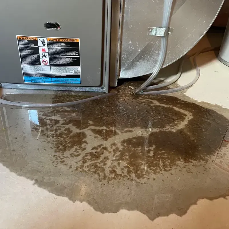 Appliance Leak Cleanup in Seneca, SC